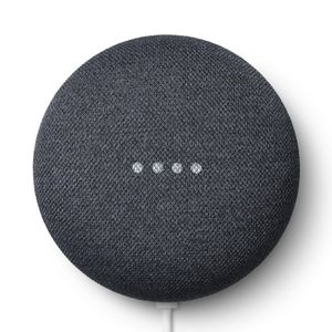 Google Nest Mini